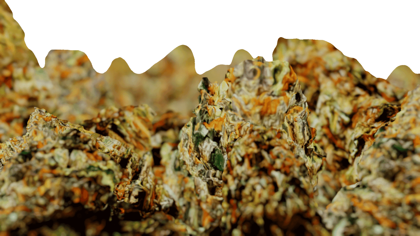 Weed Need Nug Pack - Genariq