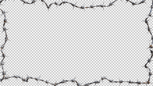 Barbed Wire PNG Overlay