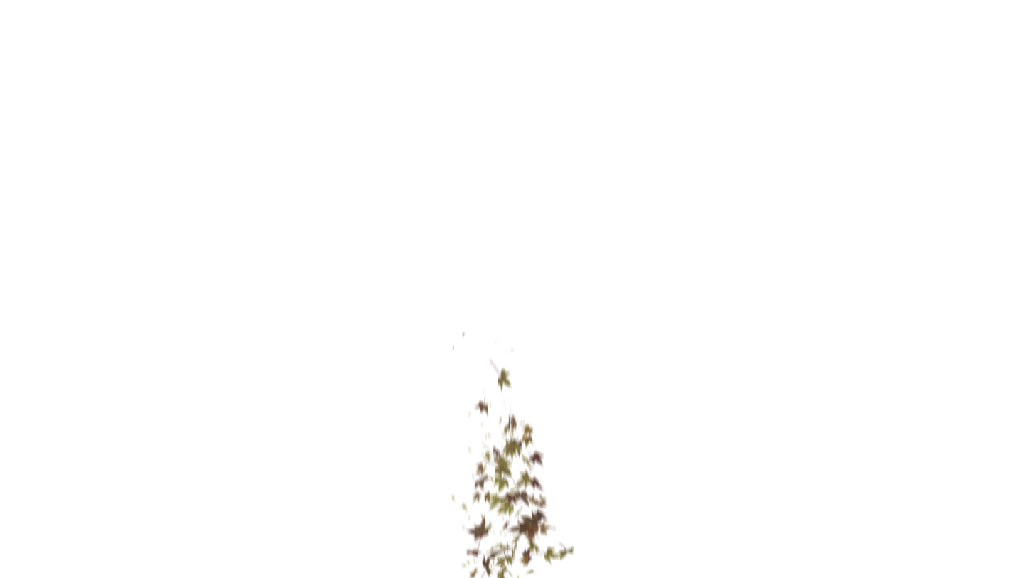 Leaves Bottom to Center Transition - Genariq