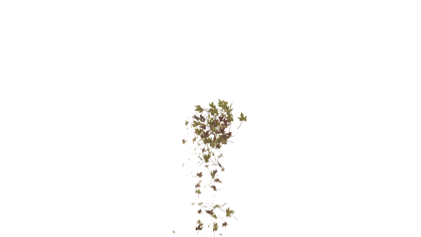 Leaves Bottom to Center Transition - Genariq