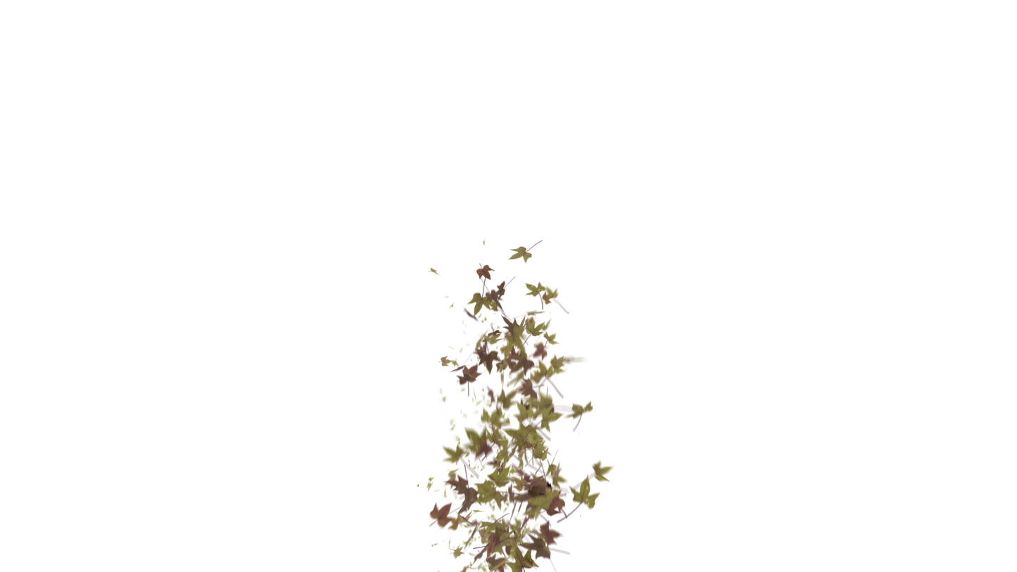 Leaves Bottom to Center Transition - Genariq