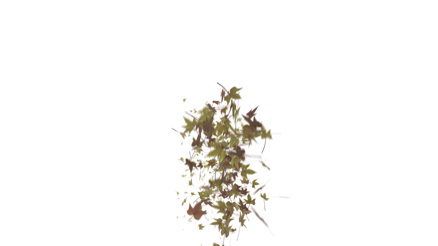 Leaves Bottom to Center Transition - Genariq
