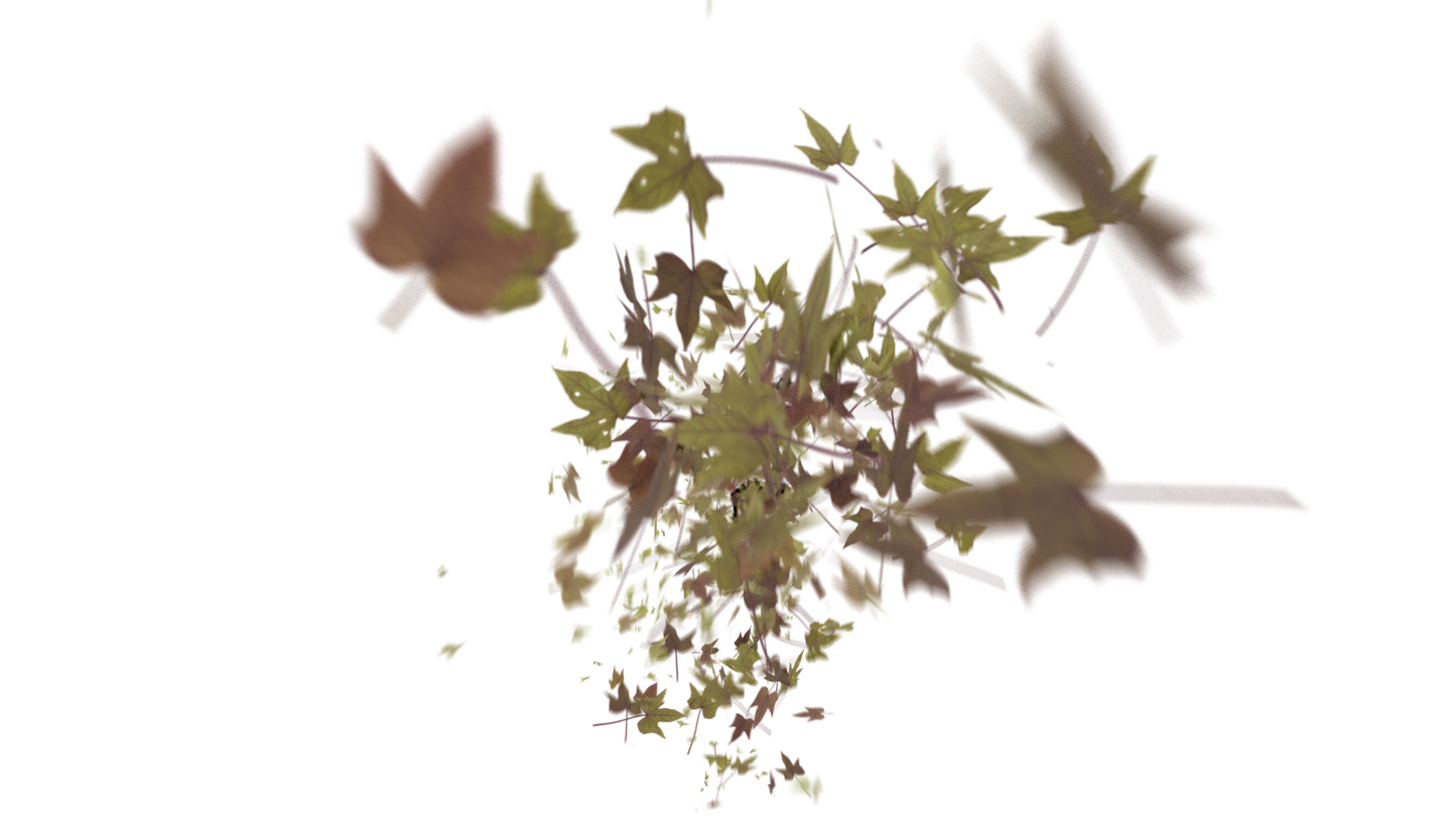 Leaves Bottom to Center Transition - Genariq