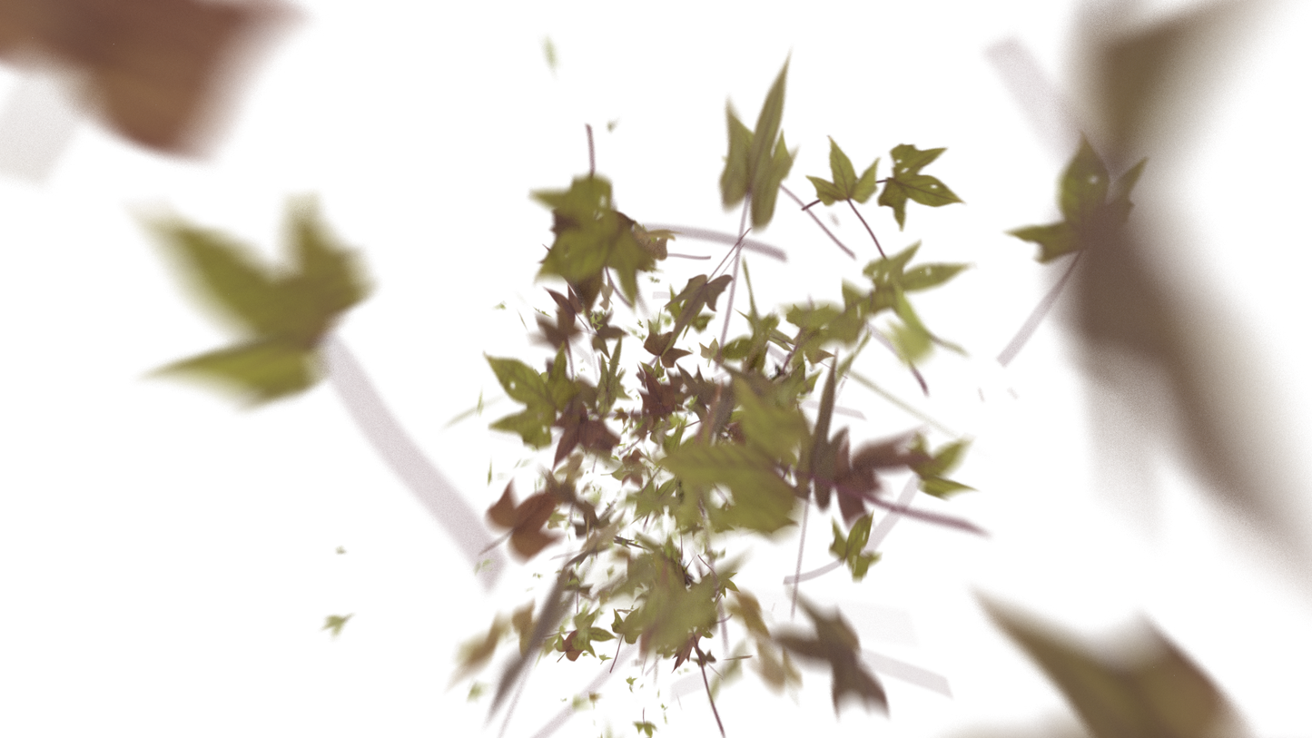 Leaves Bottom to Center Transition - Genariq