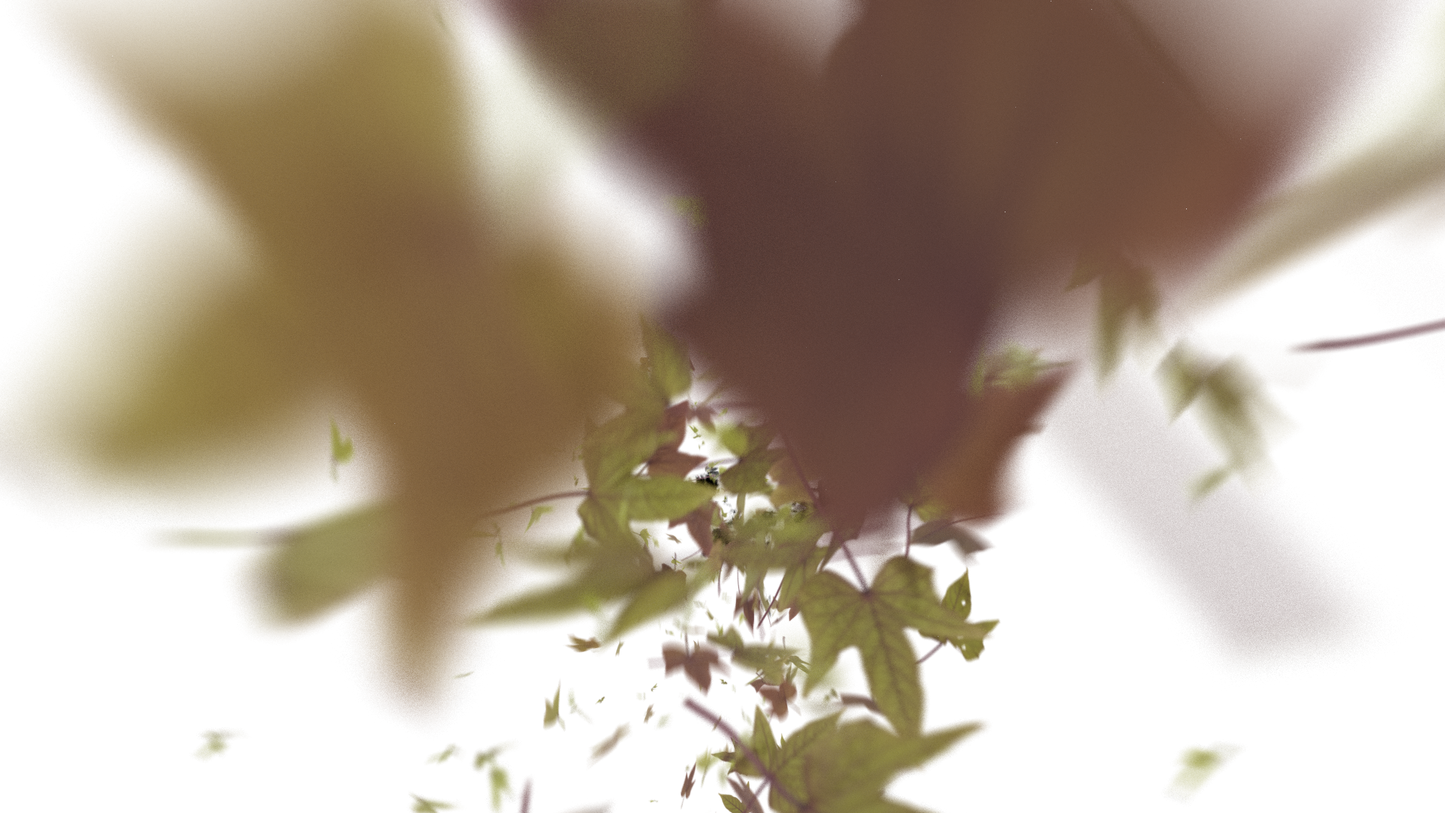 Leaves Bottom to Center Transition - Genariq