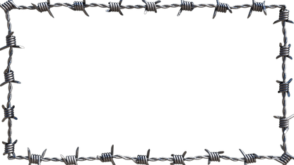 Barbed Wire Borders