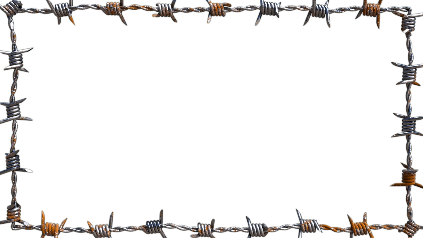 Barbed Wire Borders