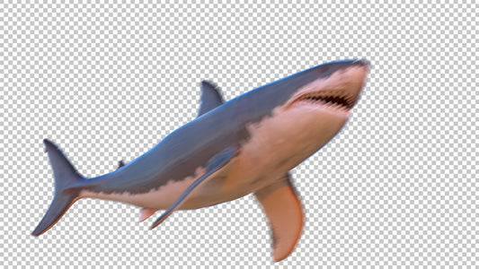 Shark Motion Blur PNG