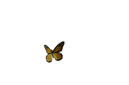 Joppa Butterfly Normal Speed - Genariq